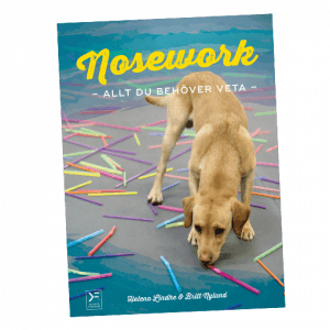 nosework_1x1