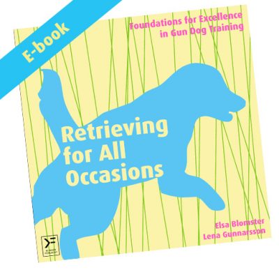 Retrieving for All Occasions - ebook