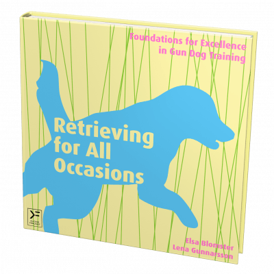 Retrieving for All Occasions