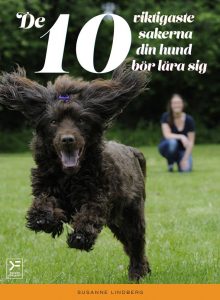 10viktigaste