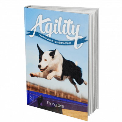 Agility - Från grunder till första start