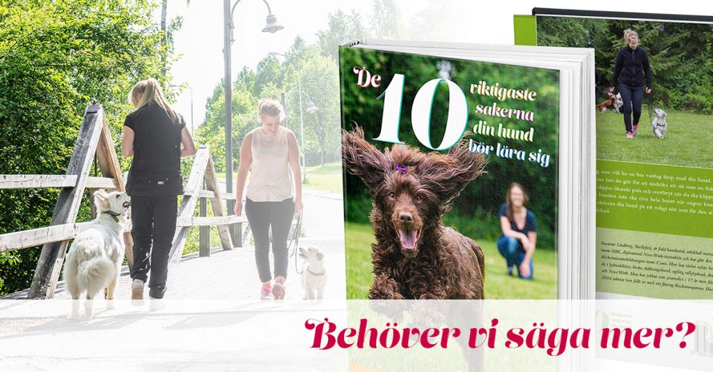 de-10-viktigaste-behover-vi-saga-mer
