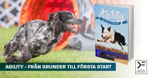 Agility - från grunder till första start