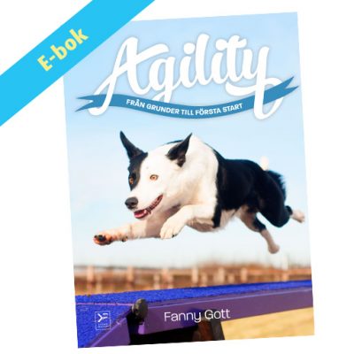 Agility - Från grunder till första start - ebok