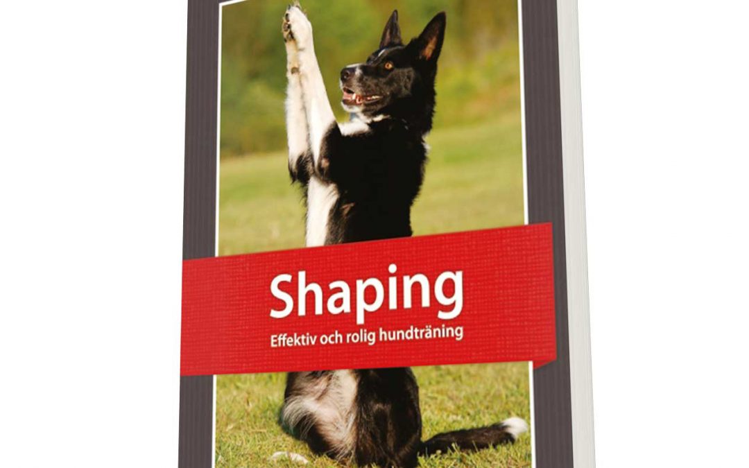 Shaping – effektiv och rolig hundträning