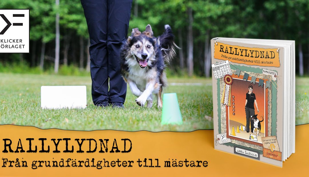 Månadens bok juni: Rallylydnad – Anna tipsar – Raka och säkra fronter