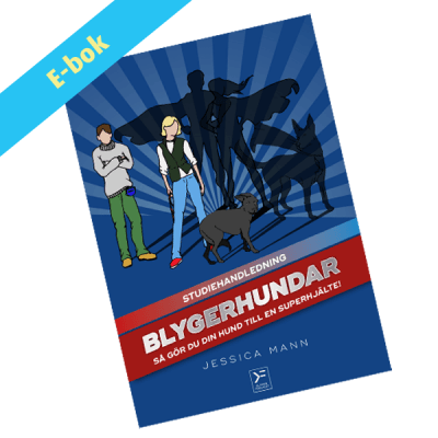 Blygerhundar - studiehandledning - ebok