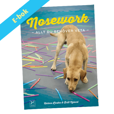 Nosework - allt du behöver veta - ebok