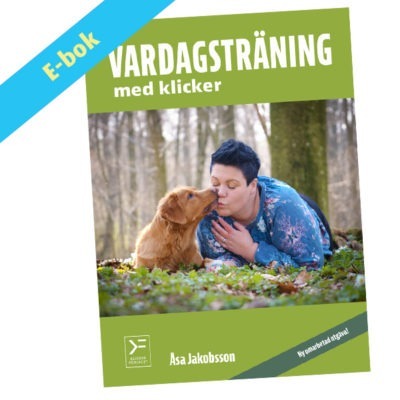 Vardagsträning med klicker - ebok