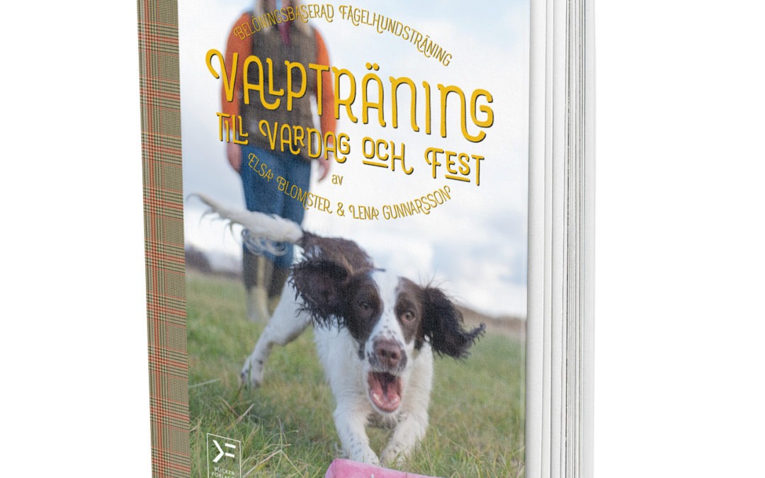 Valpträning till vardag och fest – belöningsbaserad fågelhundsträning