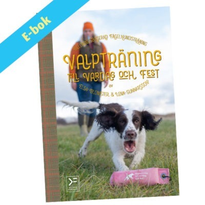 Valpträning till vardag och fest - belöningsbaserad fågelhundsträning - ebok