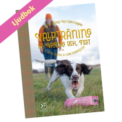 Valpträning till vardag och fest - belöningsbaserad fågelhundsträning - ljudbok