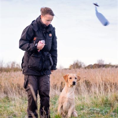 Onlinekurs: Markeringar