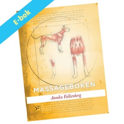 Massageboken - ebok