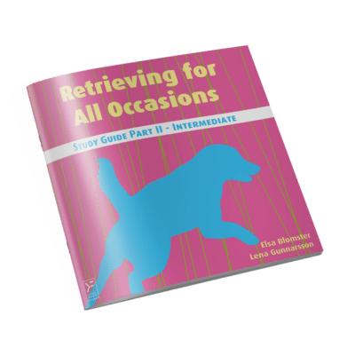 Retrieving for All Occasions - Study Guide Part II - Intermediate