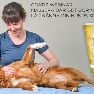 Gratis webinar: Massera där det gör nytta - lär känna din hunds spänningsprofil - Annika Falkenberg