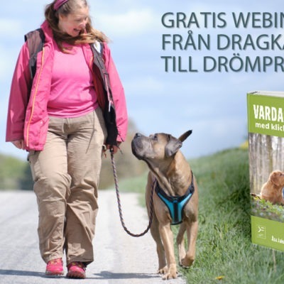 Gratis webinar: Från dragkamp till drömpromenad - Åsa Jakobsson