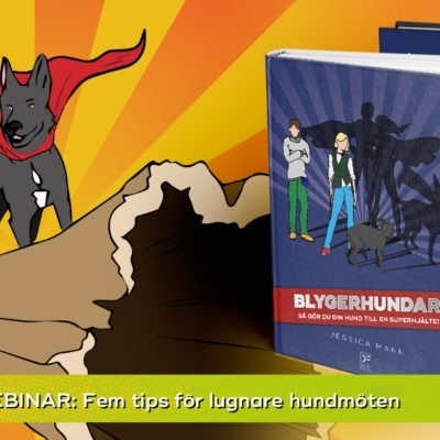 Gratis webinar: Fem tips för lugnare hundmöten - Jessica Mann