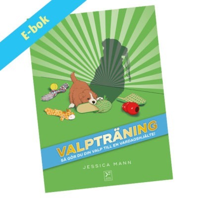Valpträning - så gör du din valp till en vardagshjälte - ebok