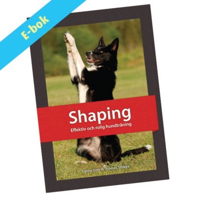 Shaping - effektiv och rolig hundträning - ebok