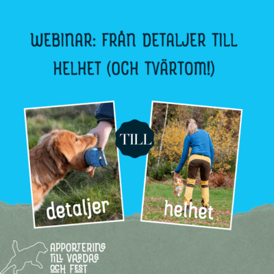 Webinar: Från detaljer till helhet (och tvärtom)!
