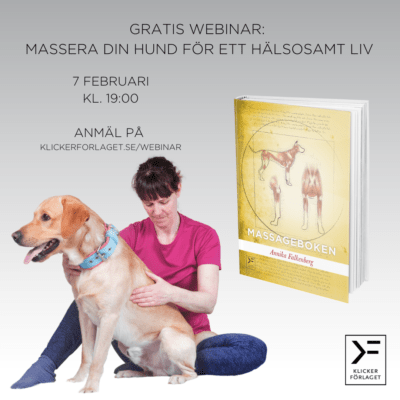 Gratis webinar: Massera din hund för ett hälsosamt liv - Annika Falkenberg