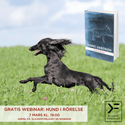 Gratis webinar: Hund i rörelse - Annika Falkenberg