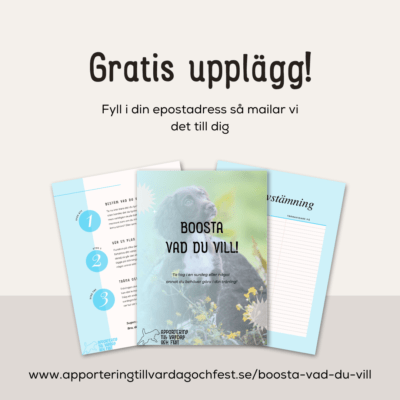 Gratis upplägg: Boosta vad du vill