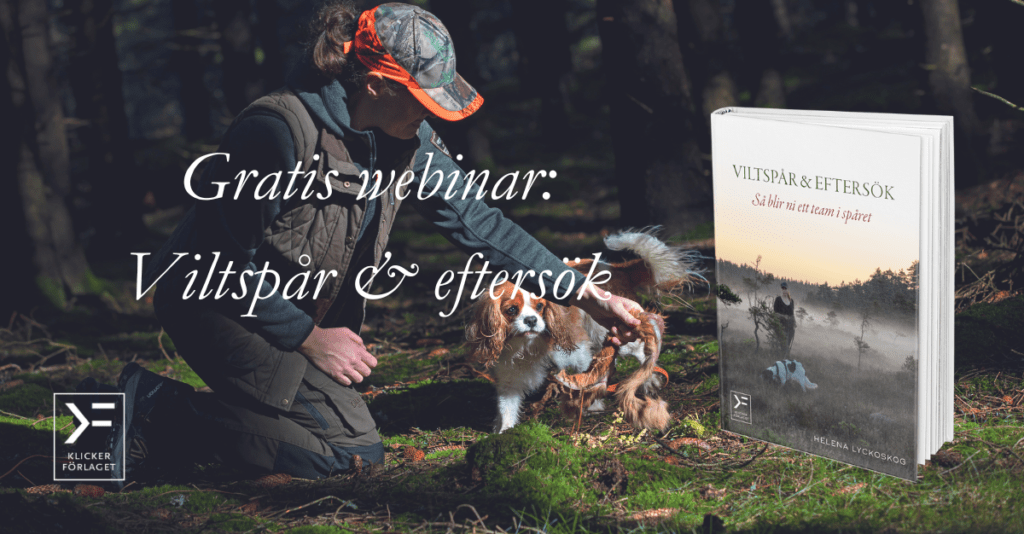 Gratis webinar: VIltspår & eftersök