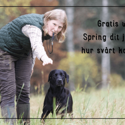 Gratis webinar: Spring dit jag pekar - hur svårt kan det vara?