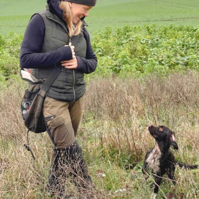 Sök, stöt och stadga - spanielträning i viltmarker