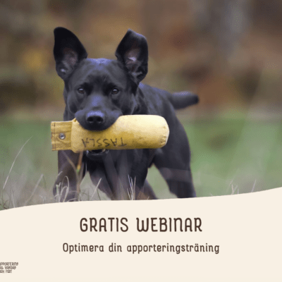 Gratis webinar: Optimera din apporteringsträning