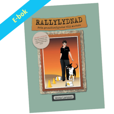 Rallylydnad - från grundfärdigheter till mästare - andra utgåvan - ebok