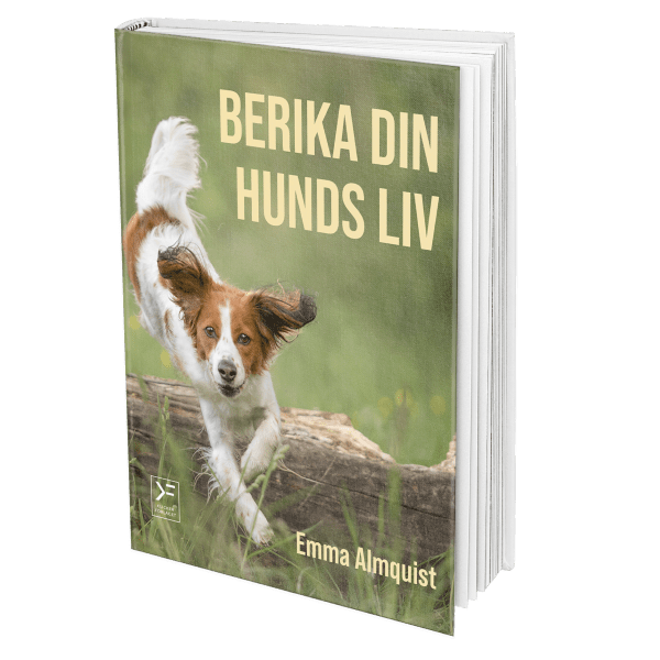 Berika din hunds liv!