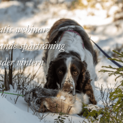 Gratis webinar: Inspirerande spårträning under vintern - Helena Lyckoskog