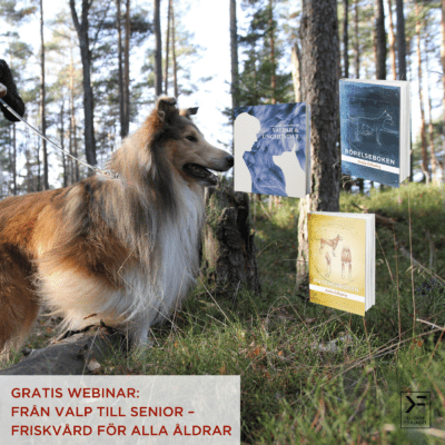 Gratis webinar: Från valp till senior – friskvård för alla åldrar - Annika Falkenberg