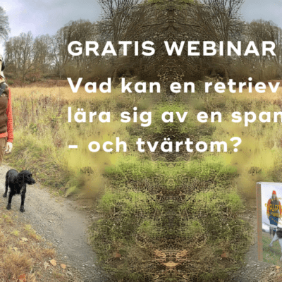 Gratis webinar: Vad kan en retrieverförare lära sig av en spanielförare - och tvärtom?