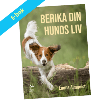 Berika din hunds liv! - ebok