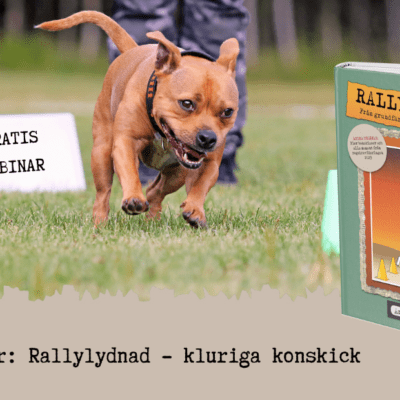 Gratis webinar: Rallylydnad - kluriga konskick