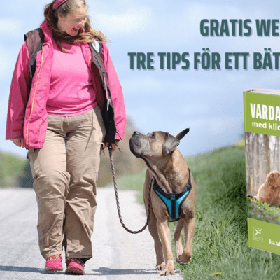 Gratis webinar: Tre tips för ett bättre vardagsliv