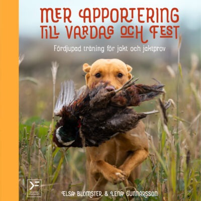 Mer apportering till vardag och fest - ebok