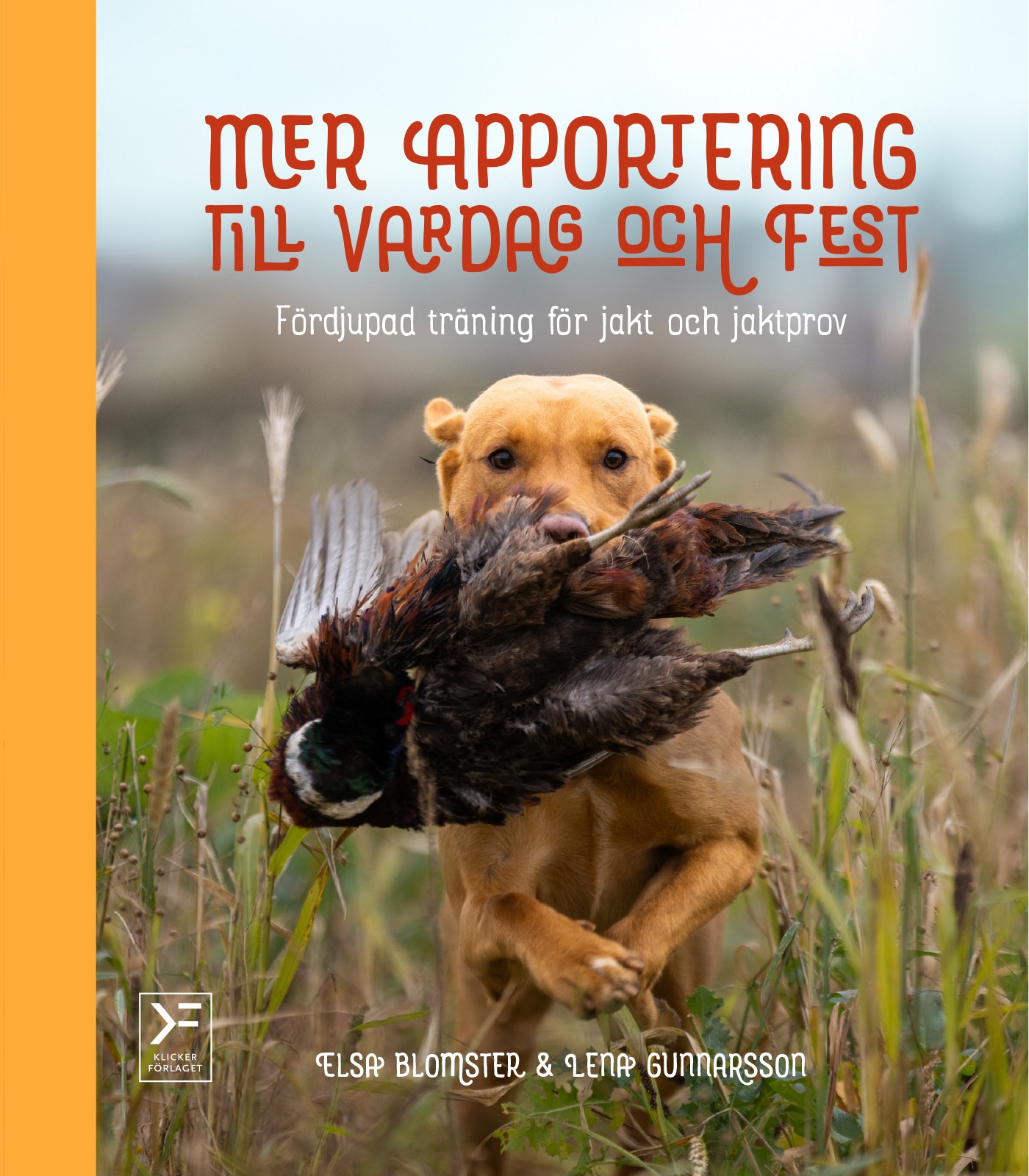 Mer apportering till vardag och fest - ebok
