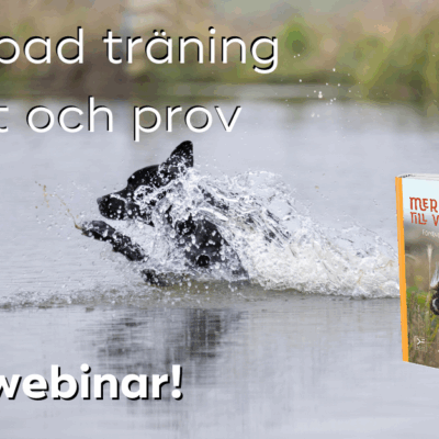 Gratis webinar: Mer apportering till vardag och fest