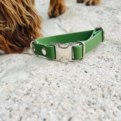 Sally ställbart hundhalsband